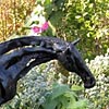 Camden Garden Club’s 2010 Winter Horticulture Series Continues February 9