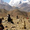The Backwards Buddhist March 11