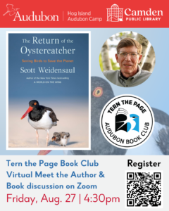 Tern the Page Book Club – Virtual Meet The Author & Book Discussion on Zoom