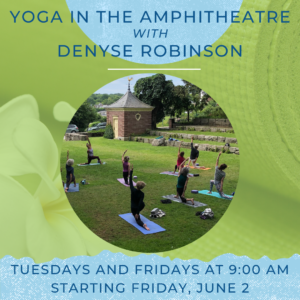 Yoga in the Amphitheatre – Starts Friday, June 2