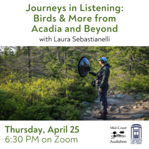 Thursday, April 25: “Journeys in Listening: Birds of Acadia” (and more!) on Zoom