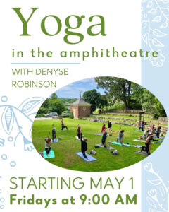 Starting Friday, May 1: Yoga in the Amphitheatre!