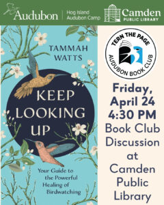 Friday, 4:30 PM: Tern the Page Book Club Discussion on “Keep Looking Up” by Tammah Watts