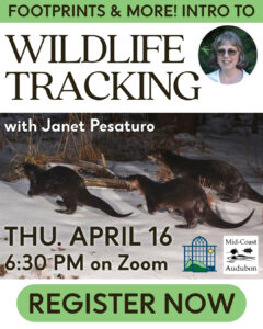 Thursday, April 16: “Wildlife Tracking”