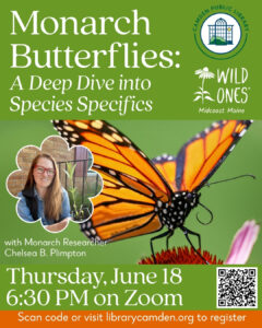 Thursday, 6/18: Monarch Butterflies on Zoom