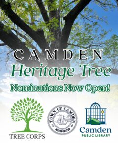 Camden Heritage Tree Nominations Now Open!