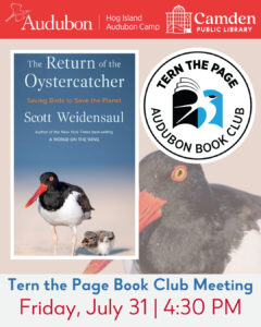 Friday, 7/31: Tern the Page Book Club
