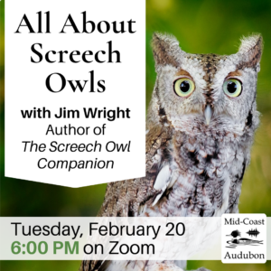 2/20: “All About Screech Owls” with Jim Wright